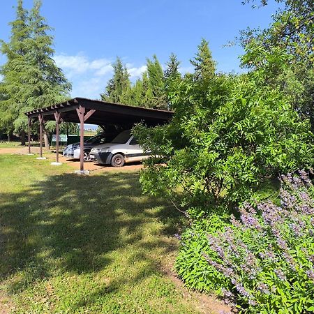 Casas Rurales Tabla Honda El Robledo  외부 사진