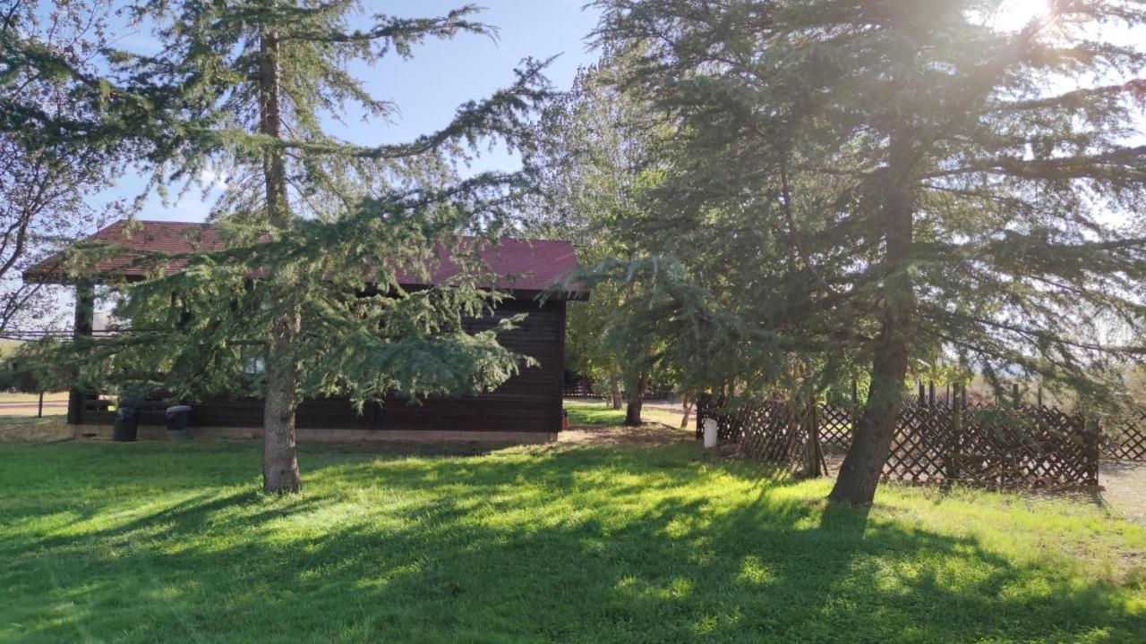 Casas Rurales Tabla Honda El Robledo  외부 사진