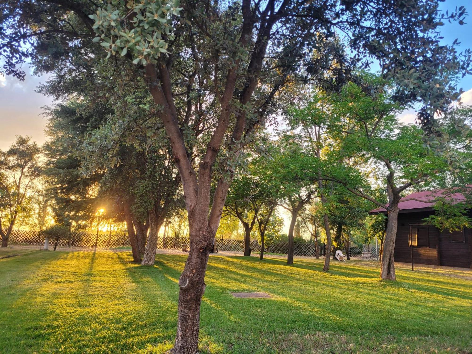 Casas Rurales Tabla Honda El Robledo  외부 사진