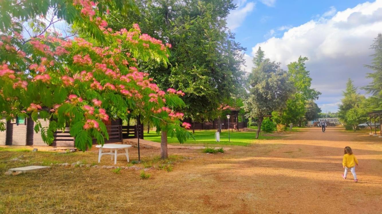 Casas Rurales Tabla Honda El Robledo  외부 사진